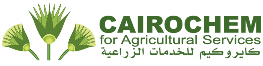 Cairochem