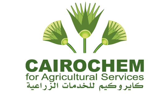 Cairochem