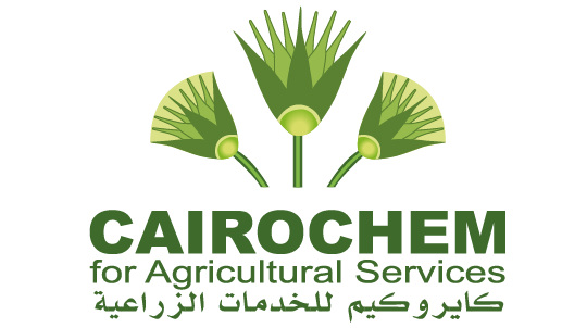 Cairochem